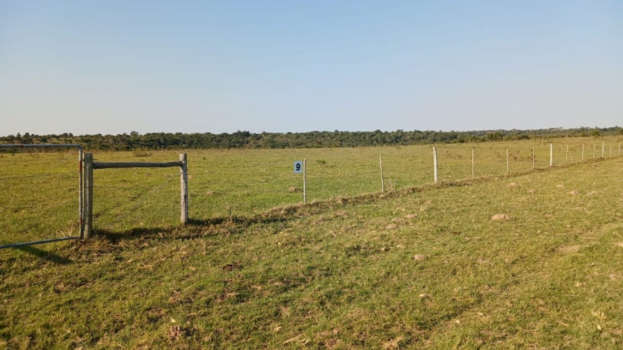 Commercial Property for Sale in Bathurst Eastern Cape